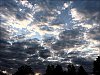 20200508001.jpg