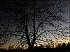 23121601.jpg
