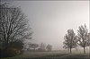 24032202XT.jpg