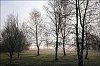 24032203XT.jpg