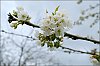 24040401VI.jpg