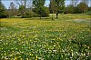 24041201VI.jpg