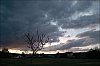 24043001VI.jpg