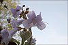 24051302VI.jpg
