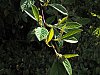 24051502OLY.jpg