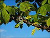 24052705OLY.jpg