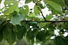 24060207XT.jpg