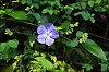 24061203VI.jpg