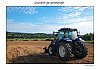 24080902VI.jpg