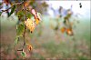 24101402VI.JPG