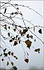 24101404VI.JPG