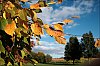 24101803VI.JPG