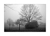 24120403VI.JPG