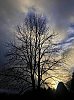 25012701SE.jpg