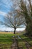 25021502VI.JPG