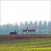 25040303OLY.JPG