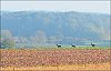 25101401OLY.JPG