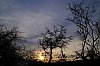 25112404VI.JPG