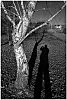 25120201100VI.JPG