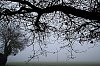 26020103VI.JPG