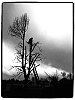 26022706OLY.JPG