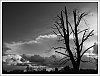 26031401OLY.JPG
