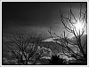 26031402OLY.JPG
