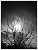 26031403OLY.JPG