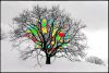 Arbre_Vitrail.jpg