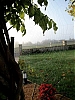 Arbres_a_toiles3.jpg
