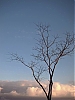 Attente~0.jpg