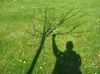 Aupres_de_mon_arbre.jpg