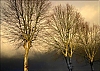 Avant_la_neige.jpg
