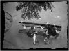 BC2.jpg