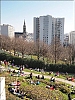 BM010.jpg