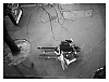 Banc5132.jpg