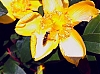 Bzzzz.jpg