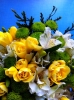 C_est_lbouquet.jpg