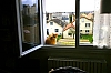 Chatfenetre.jpg