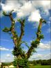 Ciel_ma_Dordogne.jpg