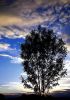 Cjour.jpg
