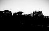 Contre_jour_de_nuit_3.jpg