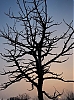 Coucher.jpg