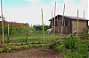 Jardin.jpg