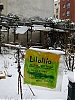 Lilolila.jpg