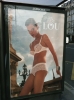 Lou.jpg