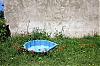 Marronsbain.jpg