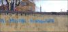 Mur_2.jpg