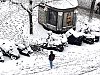 Natneig001.jpg