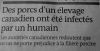 Nos_amis.jpg